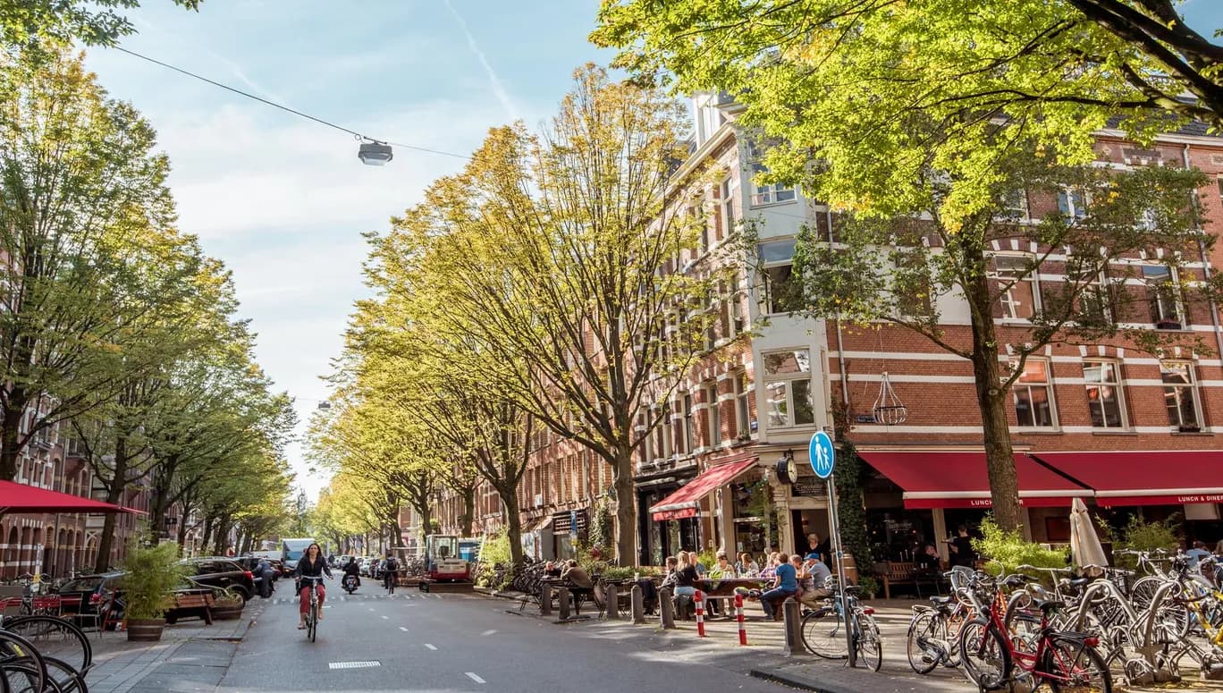 Bosboom Toussaintstraat Helmersbuurt tree lined street