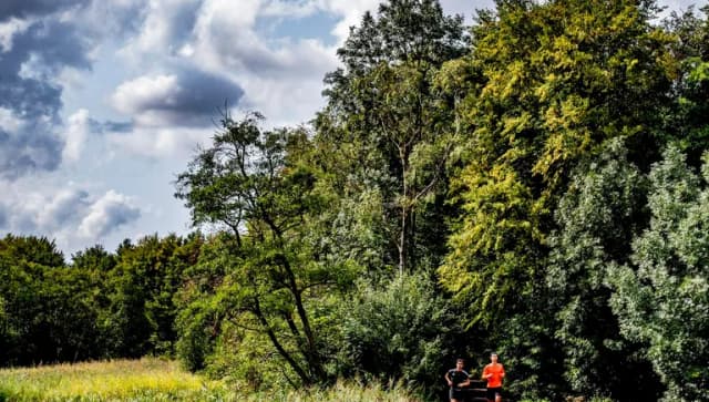 Two men running along path through forest in Amstelveen