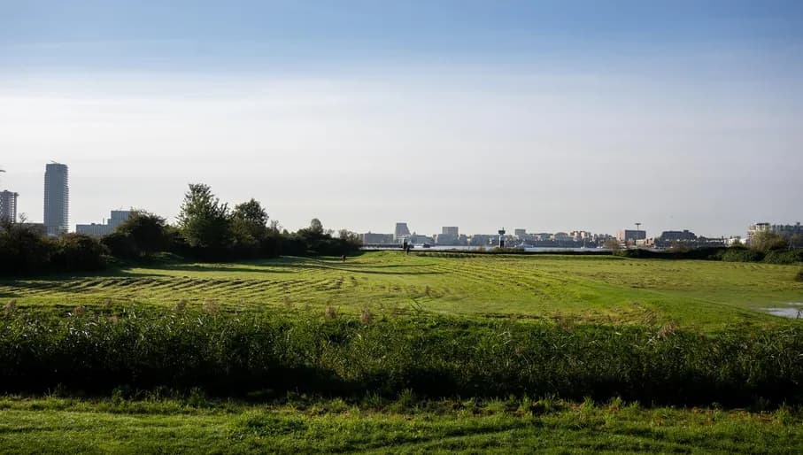 Schellingwouderpark overlooking the IJ. Content Creation Day in Amsterdam Noord, North
