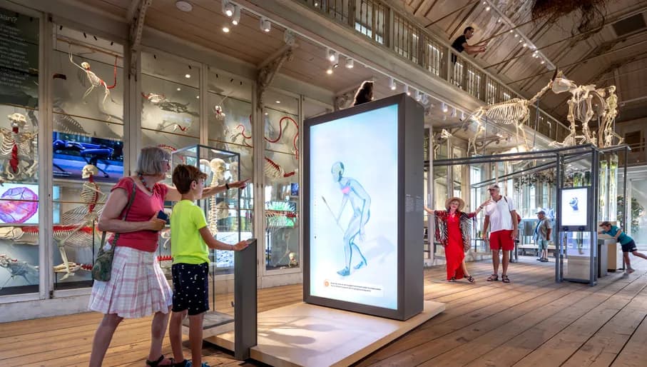 Groote Museum, ARTIS Amsterdam