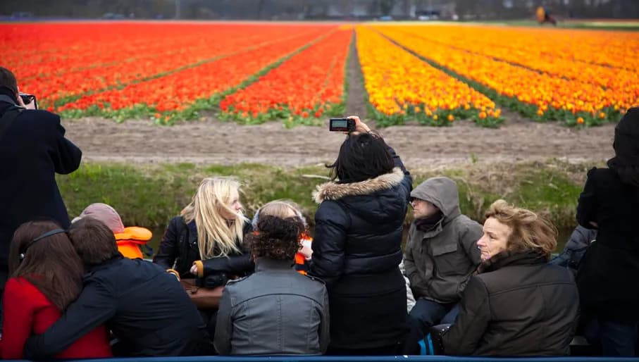 Keukenhof - which is both a tourist attraction and a showcase for the Dutch flower-growing industry - displays millions of blooms every year.